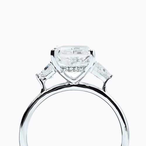 3-Stone Hidden Halo Radiant and Shield-Shaped Diamond Engagement Ring